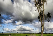 开云下载-博洛尼亚不敌那不勒斯，遭遇连败